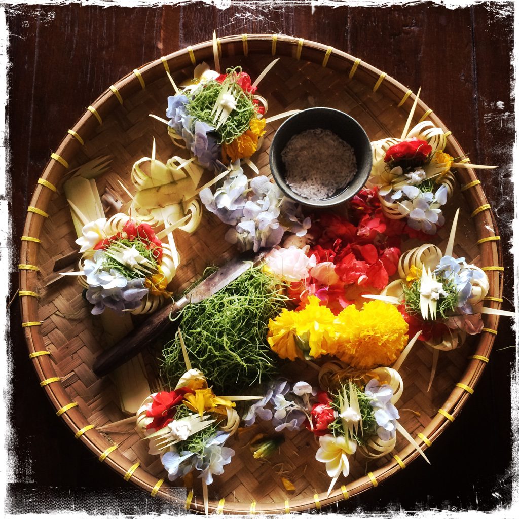 49B3CE6D-5B39-49EE-8A47-8DB15676F576_1_105_c